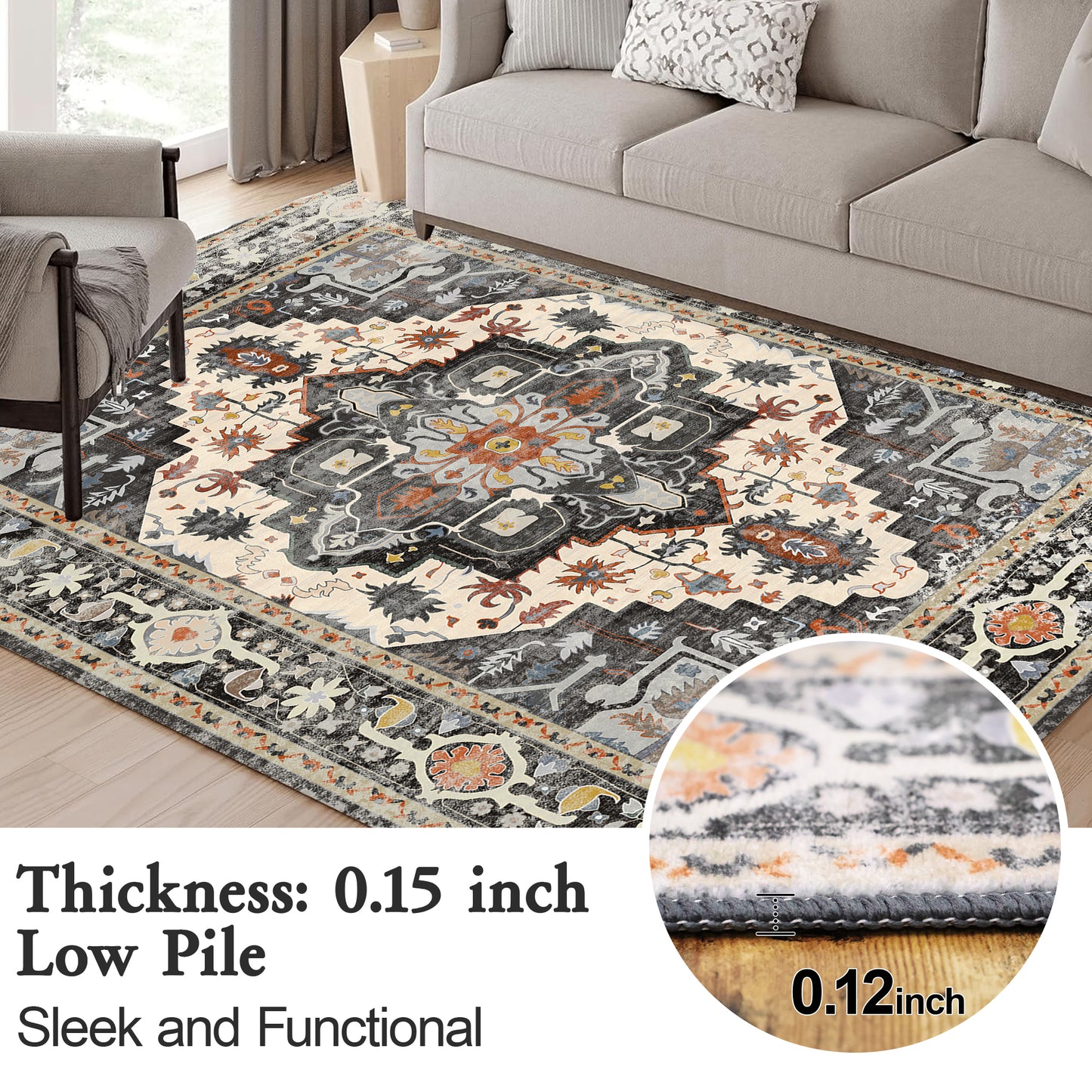 6x9 Area Rug, Super Soft Washable Rugs for Living Room, Non-Slip Stain Resistant Vintage Rugs, Ultra-Thin Large Area Rugs, Black